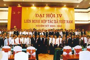 Tham Dự Đại Hội IV Liên Minh Hợp Tác Xã Việt Nam